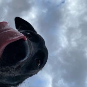 Meet your Posher, Miranda